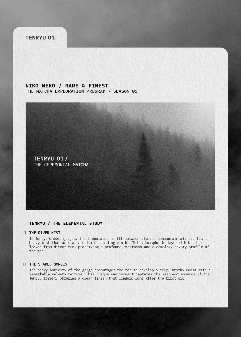 RARE & FINEST / Matcha Exploration Program - Image 11