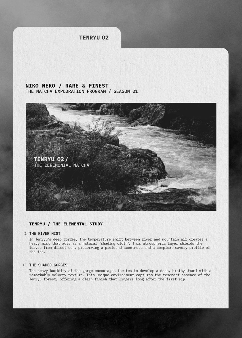 RARE & FINEST / Matcha Exploration Program - Image 13