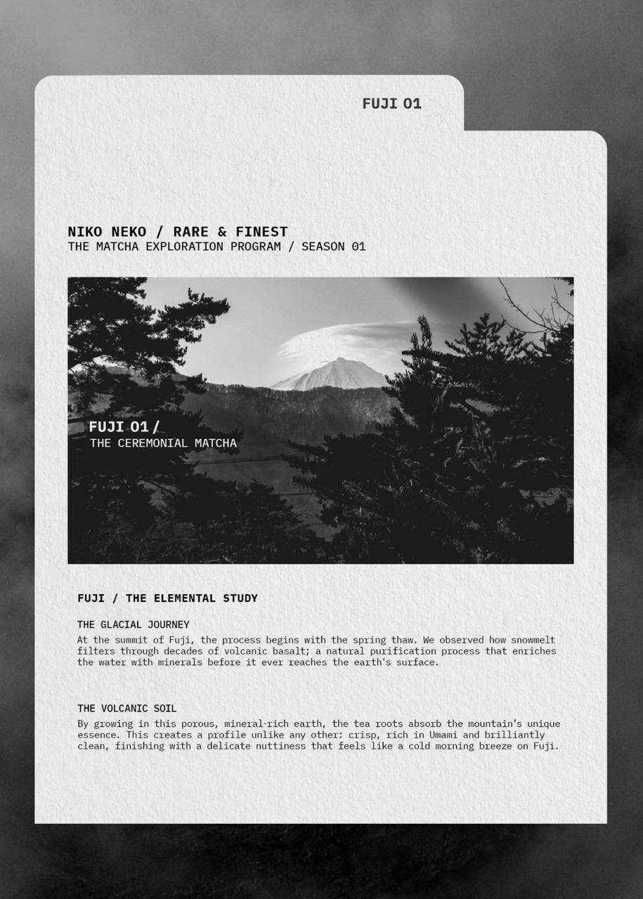 RARE & FINEST / Matcha Exploration Program - Image 6