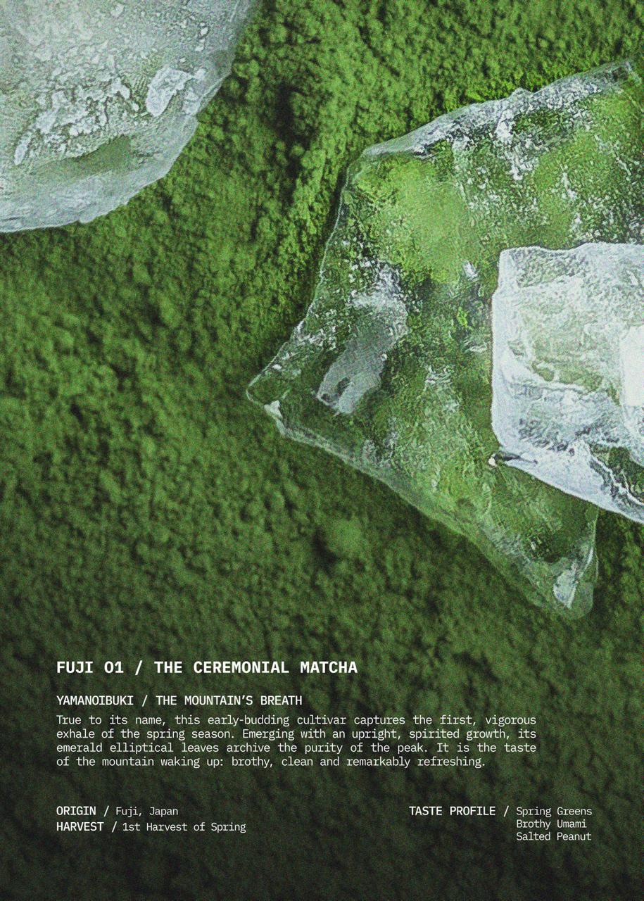 RARE & FINEST / Matcha Exploration Program - Image 7