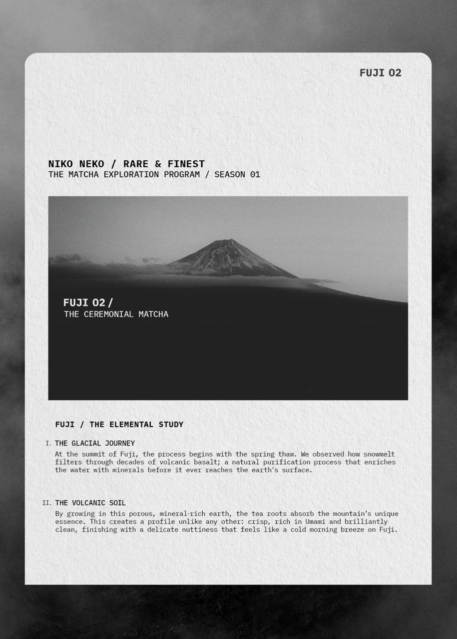 RARE & FINEST / Matcha Exploration Program - Image 8